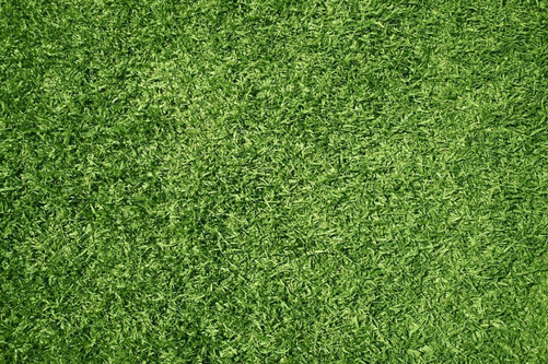Benefits of Artificial Grass for Seniors – 